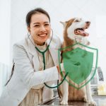 Seguro para Mascotas HDI