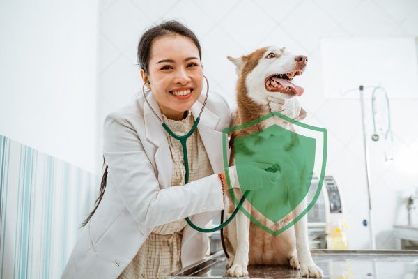 Seguro para Mascotas HDI