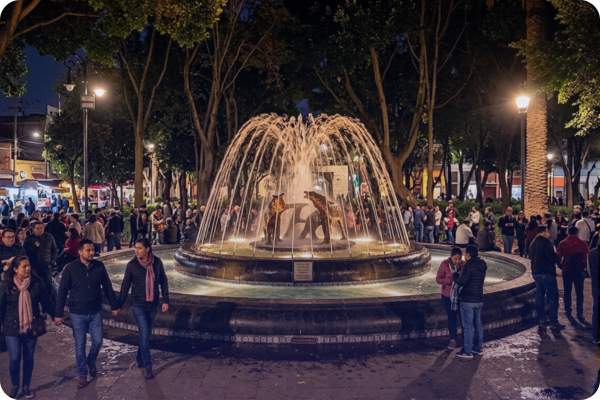 hdi coyoacan