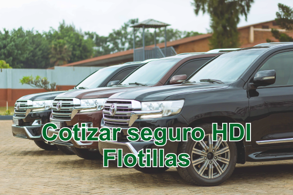 hdi flotillas