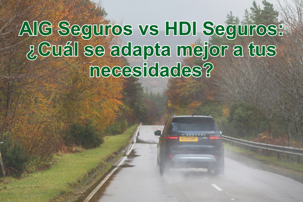 aig seguros
