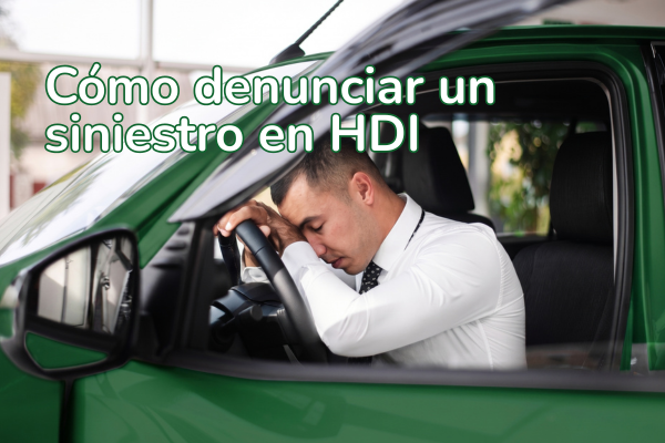 HDI Siniestros